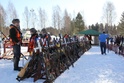 SM2012, Asetarkastus
